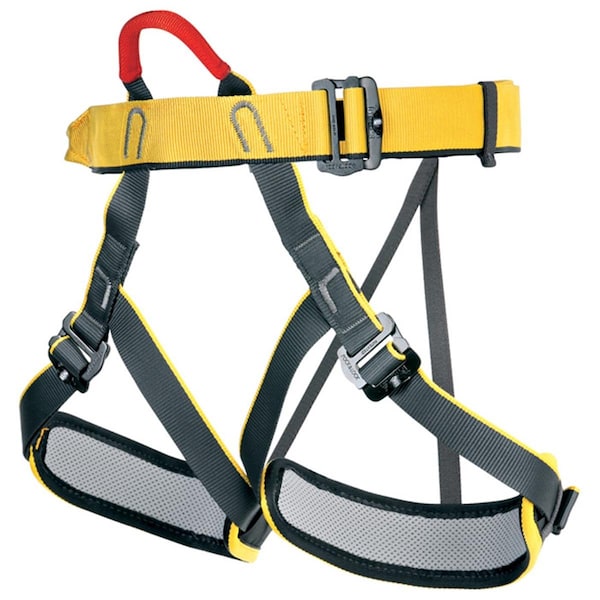 Daretocare Top Padded Harness - Yellow & Black DA3563663 - main